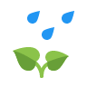 Plant Under the Rain