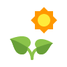 Plant Under the Sun