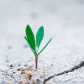 Marketing automation lead chaud