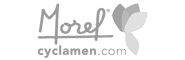 Morel diffusion Cyclamen logo gris