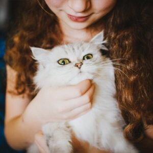 Visuel du cas client Wanimo représentant une enfant et son chat