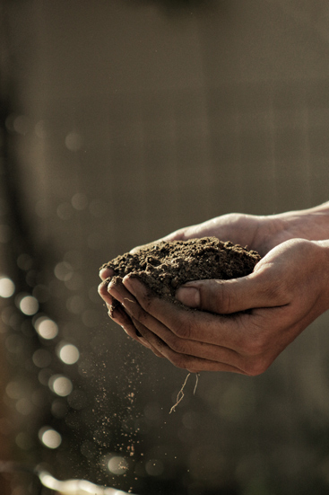 Terre cultivée par un agriculteur