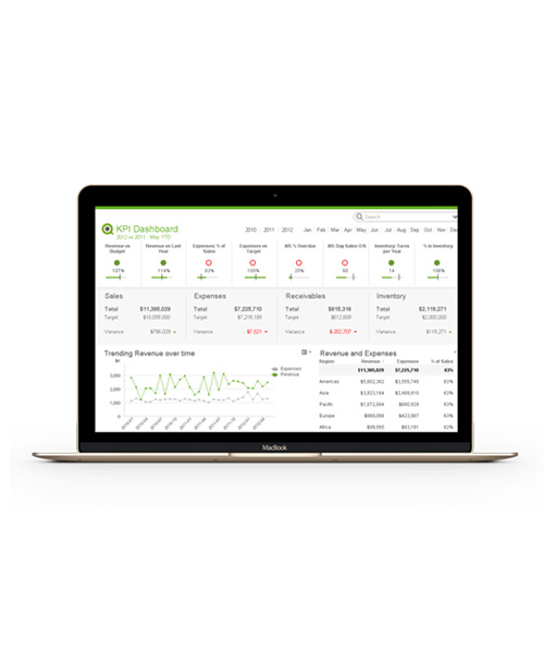 QlikView Screen