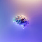 Visuel du cas client Happyneuron représentant l'illustration d'un cerveau