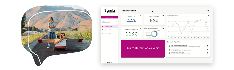 Portail analytique Synolia