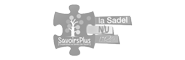 Logo Savoir Plus gris