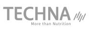 Logo gris Groupe Techna