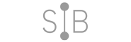 Logo SIB gris