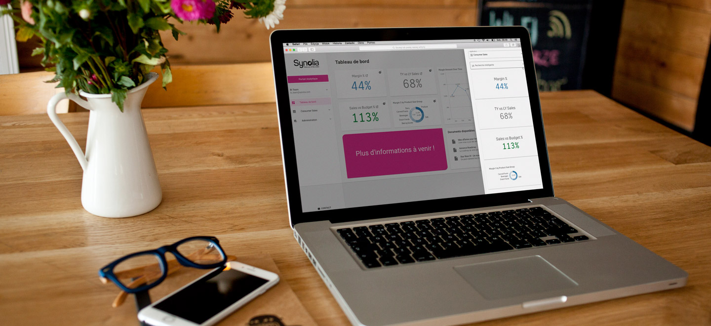 Interface du Portail Analytique de Synolia