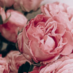 Interflora