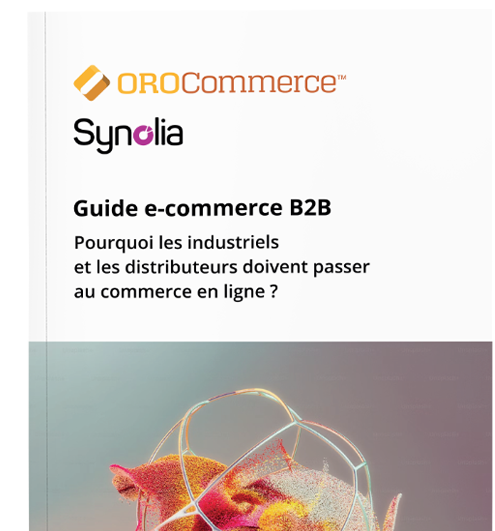 Guide e-commerce B2B Oro & Synolia header
