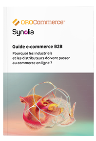 Guide e-commerce B2B Oro & Synolia vignette