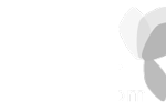 Logo blanc Morel Diffusion