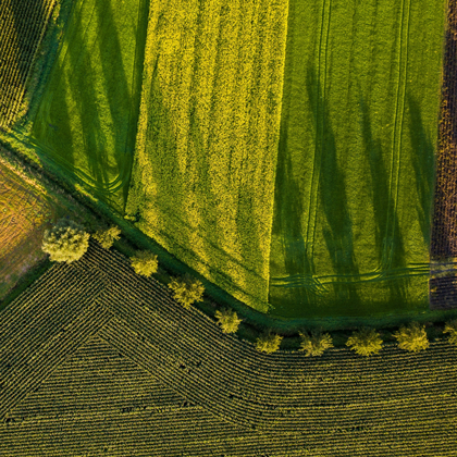Visuel du cas client Eureden représentant une terre agricole
