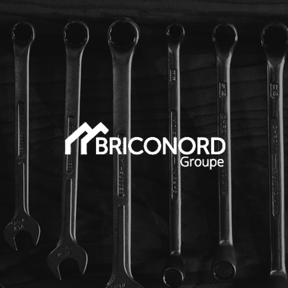Briconord Groupe